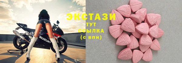крисы Каменка