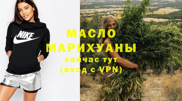 крисы Каменка
