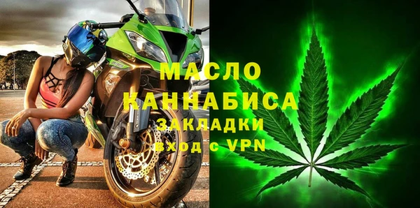крисы Каменка