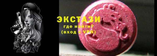 крисы Каменка