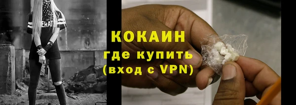 крисы Каменка