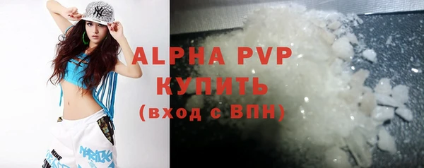 крисы Каменка