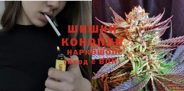 крисы Каменка