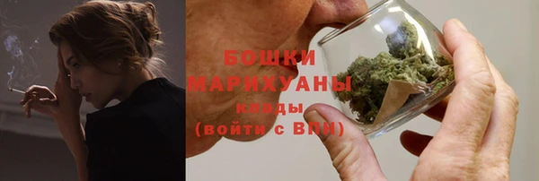 крисы Каменка