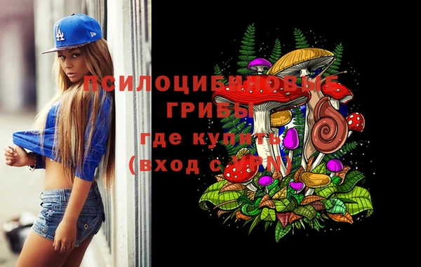 дмт Каменск-Шахтинский