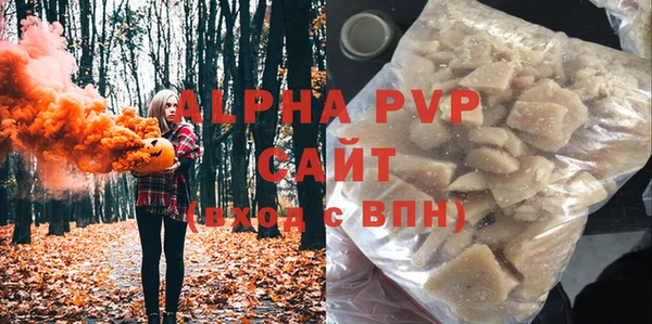 крисы Каменка