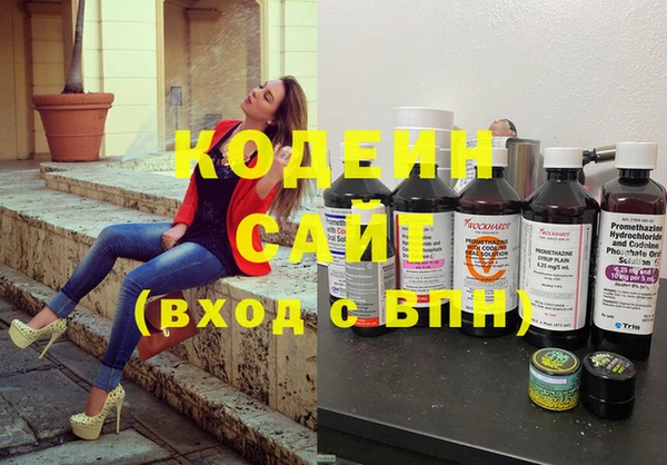 крисы Каменка