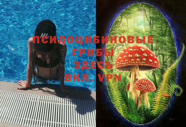 дмт Каменск-Шахтинский