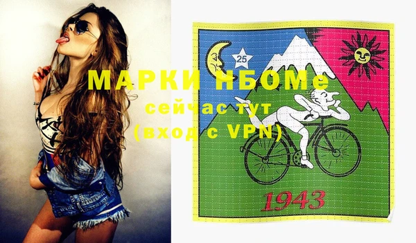 крисы Каменка
