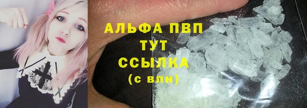 крисы Каменка